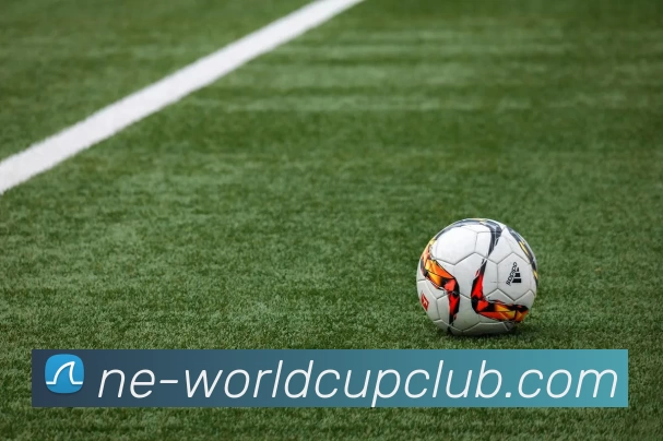 世俱杯体育投注APP 封面图